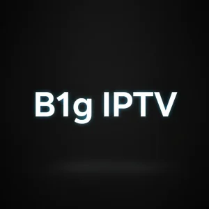B1g IPTV streaming service logo displayed on a smart TV screen